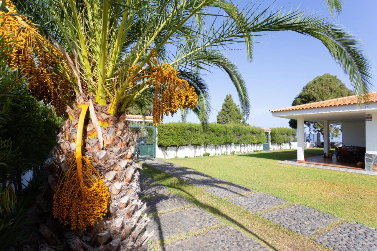 Finca La Vizcondesa 이코드레로스비노스 외부 사진